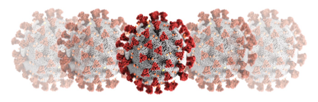 covid-19 virus