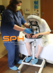 Improve Epidural Safety with the EPD